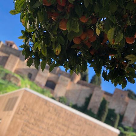 Dl Patio Malaga Daire Dış mekan fotoğraf
