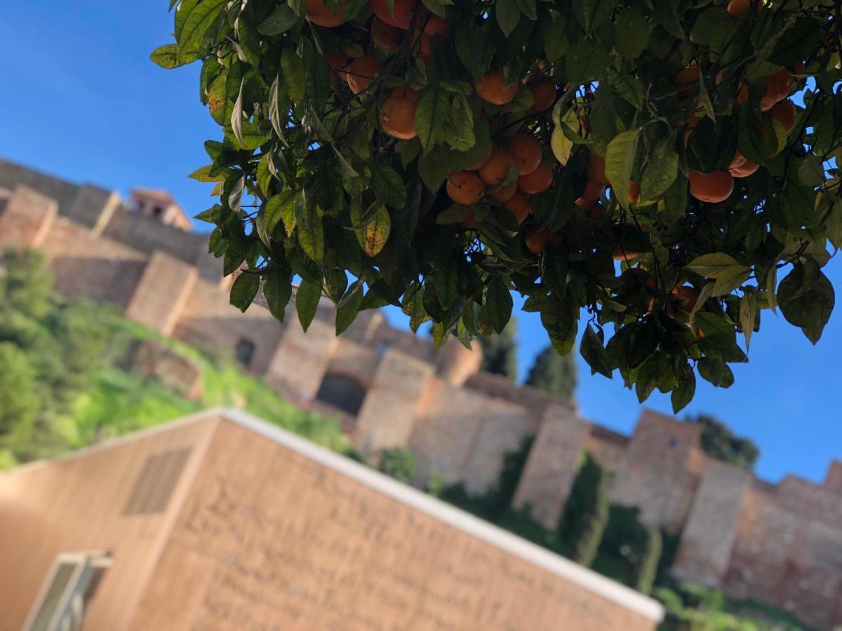 Dl Patio Malaga Daire Dış mekan fotoğraf